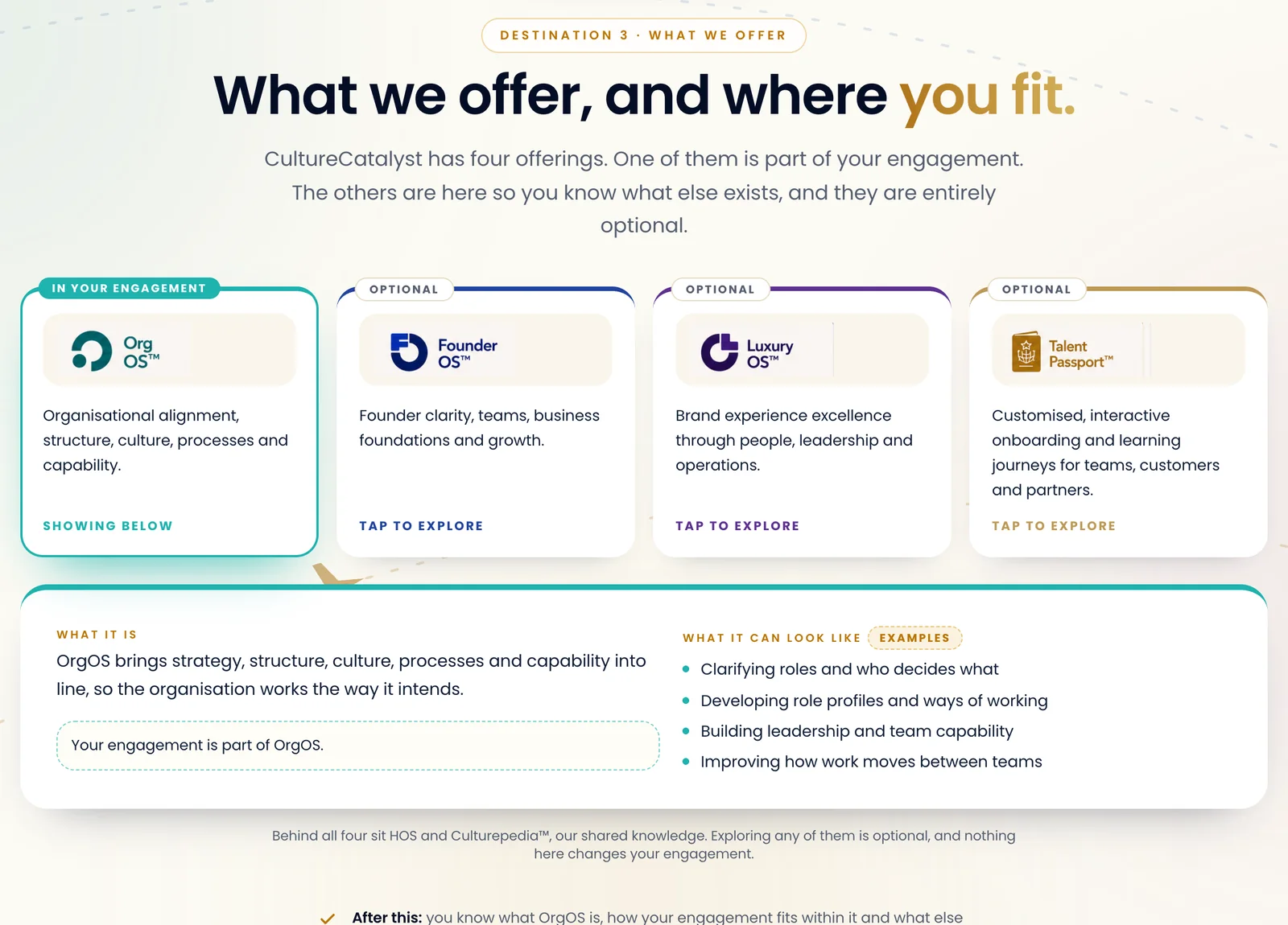 The customer demo's service screen: what CultureCatalyst offers and where the customer fits
